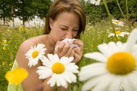 alergias, primavera y remedios naturales