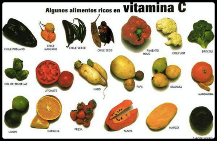 alimentos que contienen vitamina C. Les Coses Bones de Molins de Rei